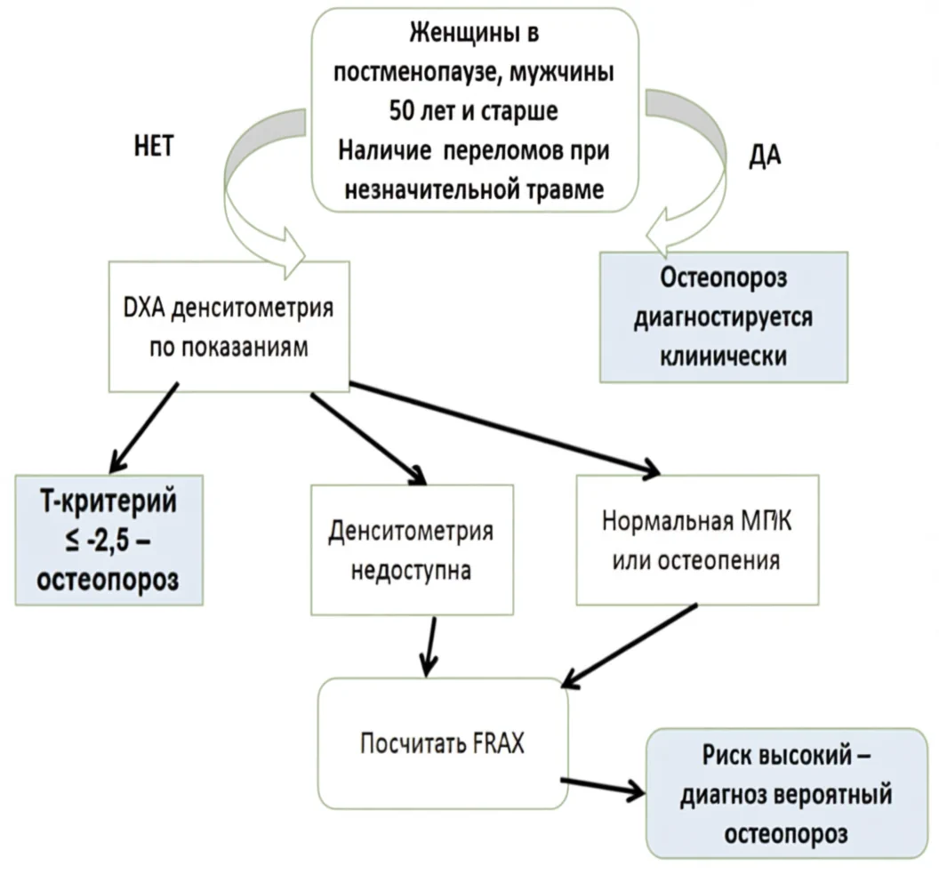 Рекомендации по диагностике постменоаузального остеопороза и остеопороза у мужчин